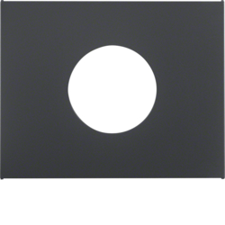 11657006 Centralna ploča za taster/svjet.signal E10, polje za natpis,  K.1, antracit mat