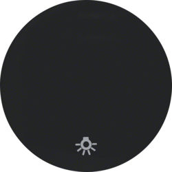 16202035 Tipka,  sa simbolom svjetla,  R.1/R.3, crna sjajna
