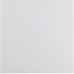 16208989 Tipka,  S.1/B.3/B.7, polarna bijela sjajna