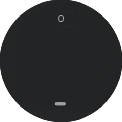 16242045 Tipka,  sa prozirnom indikacijom i natpisom "0", R.1/R.3, crna sjajna